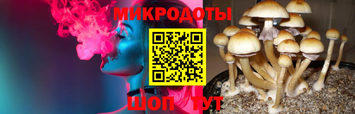 Галлюциногенные грибы Cubensis  Галлюциногенные грибы мицелий  Избербаш  Вход с VPN 